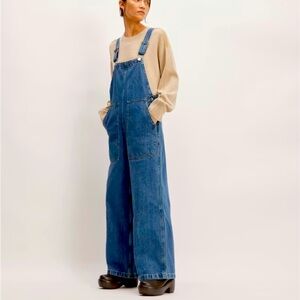 Everlane Denim Overalls